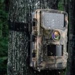 Best 5 Hunting Video Cameras For Sale In 2020 Reviews + Guide